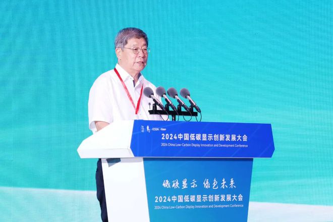 易倍体育官方助力经济绿色转型升级！2024中邦低碳显示更始发达大会胜利举办(图4)