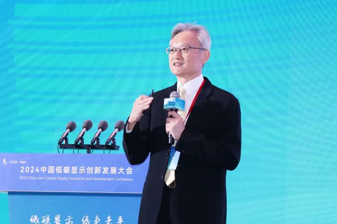 易倍体育官方助力经济绿色转型升级！2024中邦低碳显示更始发达大会胜利举办(图8)