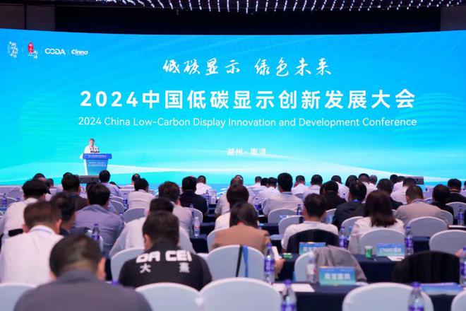 易倍体育官方助力经济绿色转型升级！2024中邦低碳显示更始发达大会胜利举办(图13)