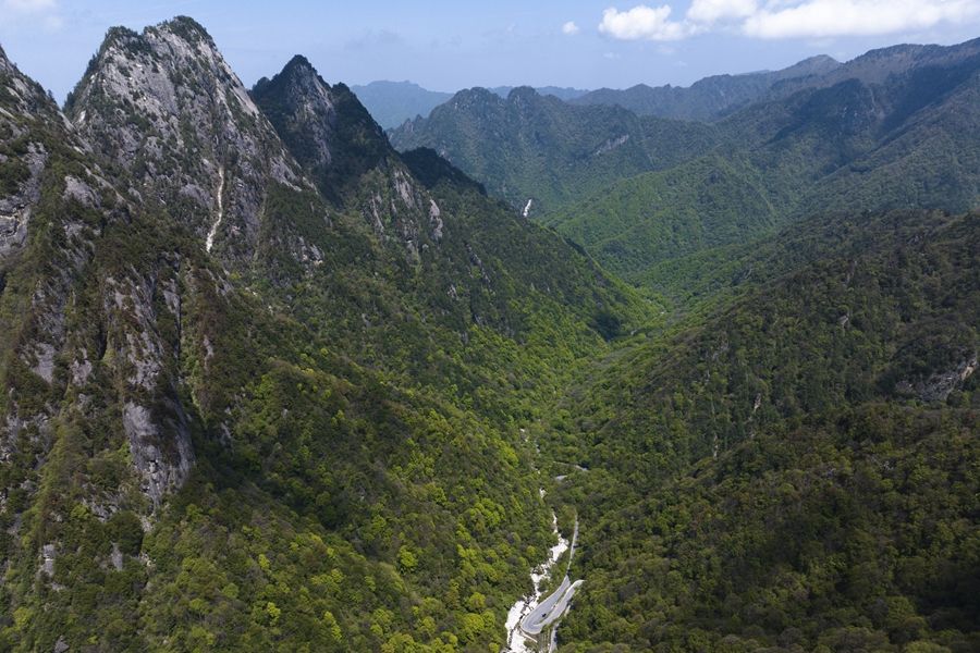 易倍体育官方网站研习举办时｜“绿水青山便是金山银山”——习激动生态境况偏护的故事(图7)