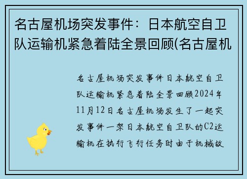 名古屋机场突发事件：日本航空自卫队运输机紧急着陆全景回顾(名古屋机场谁建的)